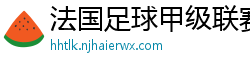 法国足球甲级联赛